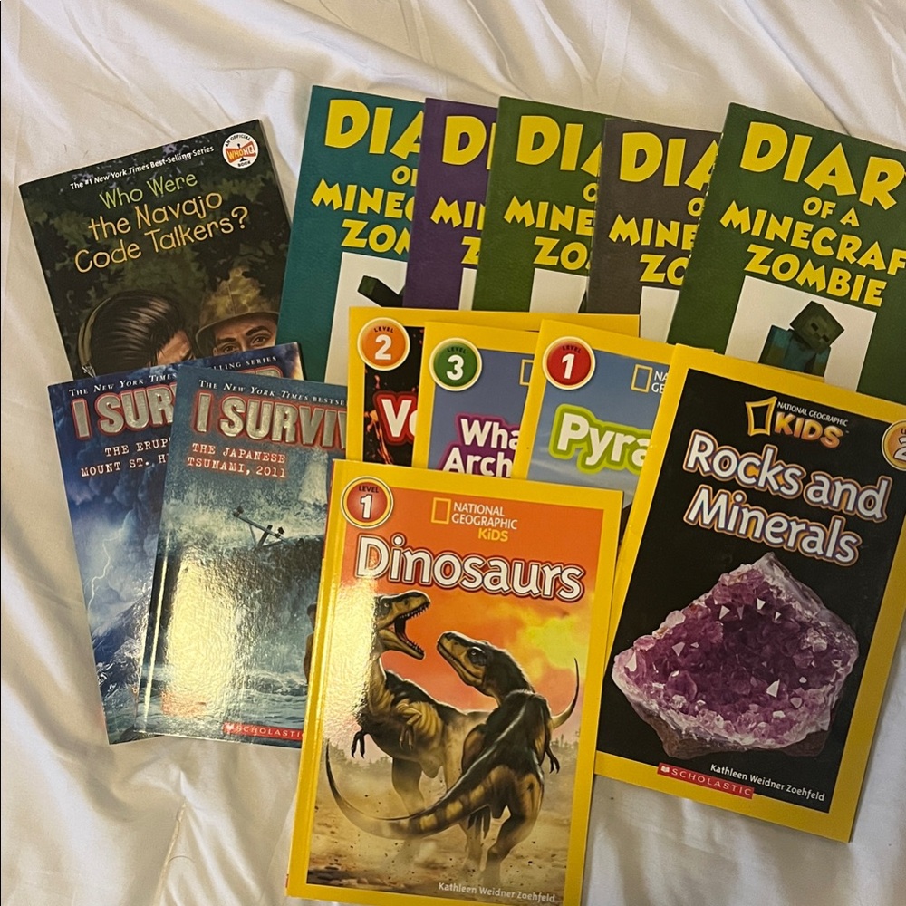 13 children books - Minecraft, I Survived, National Geographic’s, Who Were